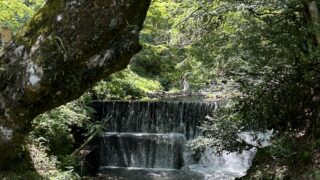 「水と塩」と封じられた叡智