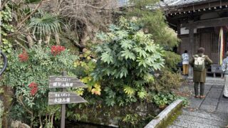 2025　冬のパワースポットツアー in 滋賀