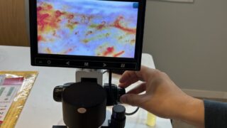 スピリチュアルX 糖尿病とマトリックスの赤い薬と青い薬